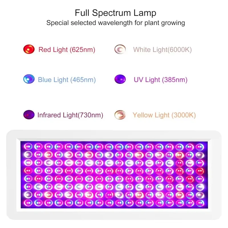 2026 Latest UV Light Box for S - Sneaker Box 评论和价格